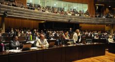 Foto de la galería: Postales de la primera sesión de la Legislatura misionera