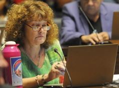 Foto de la galería: Postales de la primera sesión de la Legislatura misionera