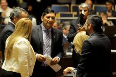 Foto de la galería: Postales de la primera sesión de la Legislatura misionera