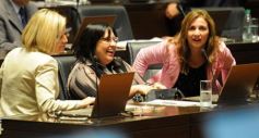 Foto de la galería: Postales de la primera sesión de la Legislatura misionera