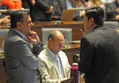 Foto de la galería: Postales de la primera sesión de la Legislatura misionera