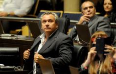 Foto de la galería: La Cámara aprobó importantes proyectos vinculados con la salud y la inclusión
