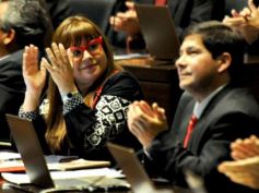 Foto de la galería: La Cámara aprobó importantes proyectos vinculados con la salud y la inclusión