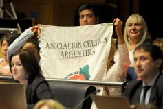 Foto de la galería: La Cámara aprobó importantes proyectos vinculados con la salud y la inclusión