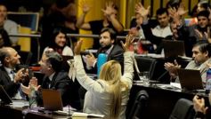 Foto de la galería: La Cámara aprobó importantes proyectos vinculados con la salud y la inclusión