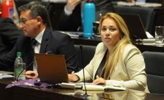 Foto de la galería: La Cámara aprobó importantes proyectos vinculados con la salud y la inclusión