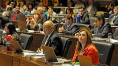 Foto de la galería: La Cámara aprobó importantes proyectos vinculados con la salud y la inclusión