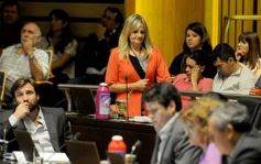 Foto de la galería: La Cámara aprobó importantes proyectos vinculados con la salud y la inclusión