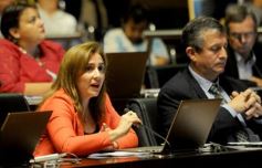 Foto de la galería: La Cámara aprobó importantes proyectos vinculados con la salud y la inclusión