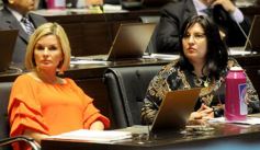 Foto de la galería: La Cámara aprobó importantes proyectos vinculados con la salud y la inclusión