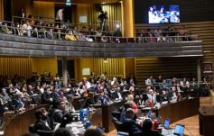 Foto de la galería: Aprobado en la Legislatura: Misiones tendrá un instituto para promover el valor de sus recursos genéticos