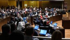 Foto de la galería: Aprobado en la Legislatura: Misiones tendrá un instituto para promover el valor de sus recursos genéticos