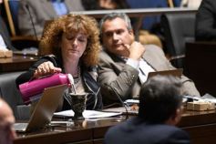 Foto de la galería: Aprobado en la Legislatura: Misiones tendrá un instituto para promover el valor de sus recursos genéticos
