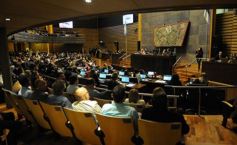 Foto de la galería: Aprobado en la Legislatura: Misiones tendrá un instituto para promover el valor de sus recursos genéticos