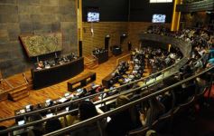 Foto de la galería: Aprobado en la Legislatura: Misiones tendrá un instituto para promover el valor de sus recursos genéticos