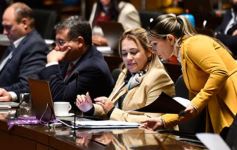 Foto de la galería: Legislatura: Misiones adoptará medidas para proteger a las personas que padecen epilepsia