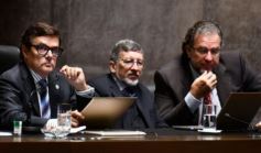 Foto de la galería: Legislatura: Misiones adoptará medidas para proteger a las personas que padecen epilepsia