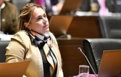 Foto de la galería: Legislatura: Misiones adoptará medidas para proteger a las personas que padecen epilepsia