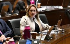 Foto de la galería: Legislatura: adhesión a la Ley de Salud Mental y un emotivo homenaje a Los Núñez