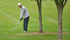 Foto de la galería: Final del paso a paso de la Copa El Territorio: el gran campeón y la premiación