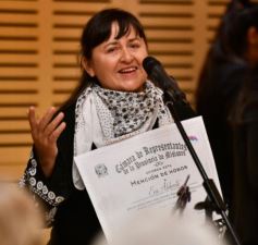 Foto de la galería: En la Legislatura entregaron los premios Andresito a la Literatura misionera