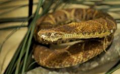 Foto de la galería: Legislatura: aprueban norma para mejorar la actividad de los oleros en Misiones