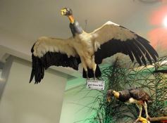 Foto de la galería: Legislatura: aprueban norma para mejorar la actividad de los oleros en Misiones