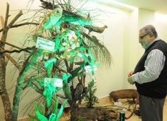 Foto de la galería: Legislatura: aprueban norma para mejorar la actividad de los oleros en Misiones