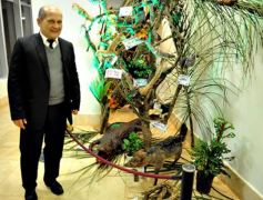 Foto de la galería: Legislatura: aprueban norma para mejorar la actividad de los oleros en Misiones