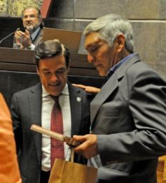 Foto de la galería: Legislatura: aprueban norma para mejorar la actividad de los oleros en Misiones