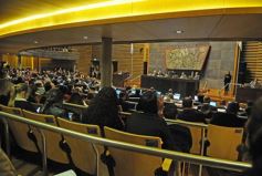 Foto de la galería: Legislatura: aprueban norma para mejorar la actividad de los oleros en Misiones