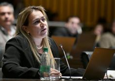 Foto de la galería: Legislatura: aprueban norma para mejorar la actividad de los oleros en Misiones