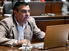 Foto de la galería: Legislatura: aprueban norma para mejorar la actividad de los oleros en Misiones