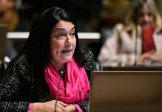 Foto de la galería: Legislatura: aprueban norma para mejorar la actividad de los oleros en Misiones