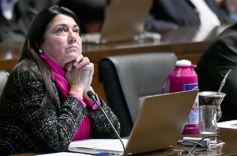 Foto de la galería: Legislatura: aprueban norma para mejorar la actividad de los oleros en Misiones