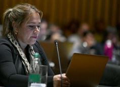 Foto de la galería: La Legislatura declaró área protegida al Cerro Mbororé