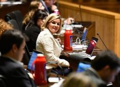 Foto de la galería: La Legislatura declaró área protegida al Cerro Mbororé