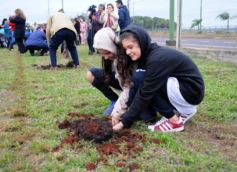 Foto de la galería: Aniversario de Emsa: jubilados de la empresa y estudiantes plantaron árboles en el Jardín Botánico