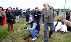 Foto de la galería: Aniversario de Emsa: jubilados de la empresa y estudiantes plantaron árboles en el Jardín Botánico