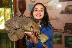 Sixto Fotografías. Sociedad. Varios - Intensa recorrida por Posadas: todas las postales