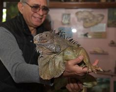 Foto de la galería: Intensa recorrida por Posadas: todas las postales