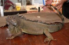 Foto de la galería: Intensa recorrida por Posadas: todas las postales