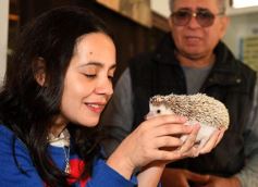 Foto de la galería: Intensa recorrida por Posadas: todas las postales