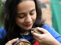 Foto de la galería: Intensa recorrida por Posadas: todas las postales