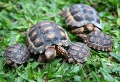 Foto de la galería: Intensa recorrida por Posadas: todas las postales