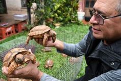 Foto de la galería: Intensa recorrida por Posadas: todas las postales