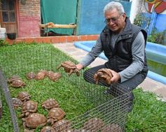 Foto de la galería: Intensa recorrida por Posadas: todas las postales