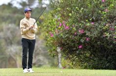 Foto de la galería: Postales del Pro-Am del Abierto de Misiones de golf