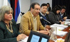 Foto de la galería: Primera semana del análisis del Presupuesto 2019 en la Legislatura