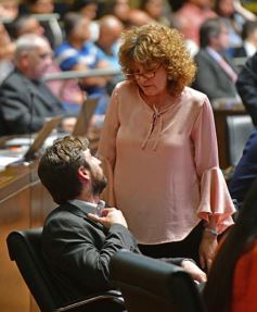 Foto de la galería: Legislatura: Misiones se adhirió a la ley nacional que regula los contratos del sector público